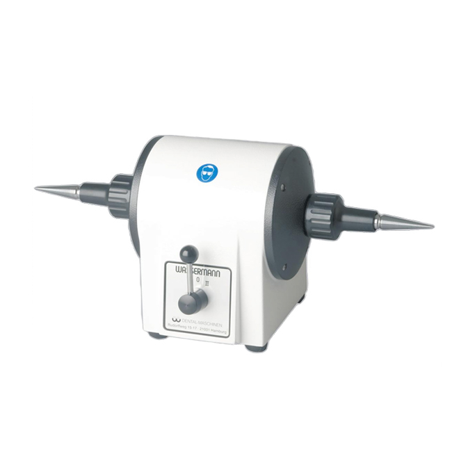 WSM-2 - полировальный мотор для обработки металлов и пластмасс | Wassermann (Германия)